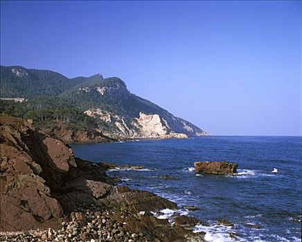 thống kê bach thủ