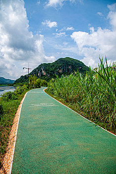 soi lô bạch thủ hôm nay