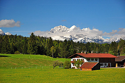 soi câu bach thu xsmb