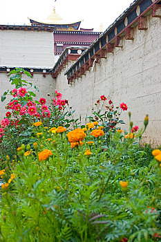 thống kê xổ số bình định