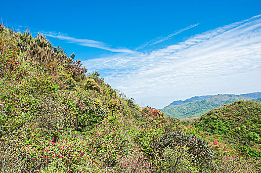 soi cau lo de binh dinh 568