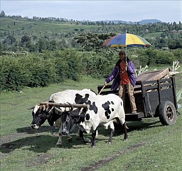 xổ số miền nam hôm nay xổ số miền nam hôm nay