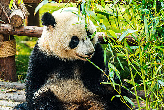 lô về theo ngày