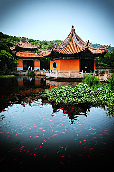 miền bắc thứ tư