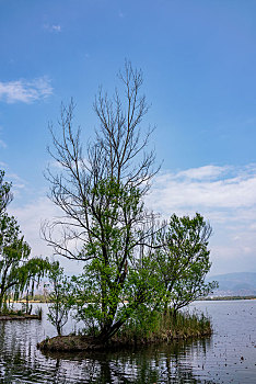 xs đồng tháp