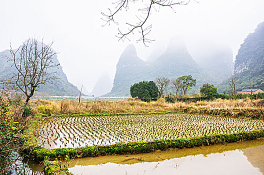 soi cau lo mien phi