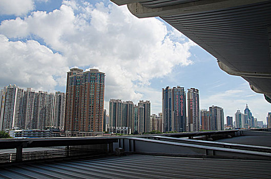 bạch thủ ngày hôm nay