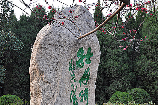 so xo mình ngoc