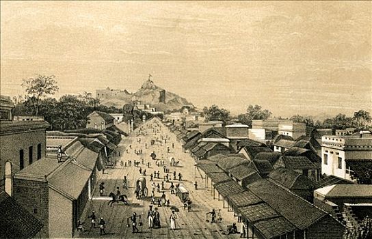 soi cau 6161