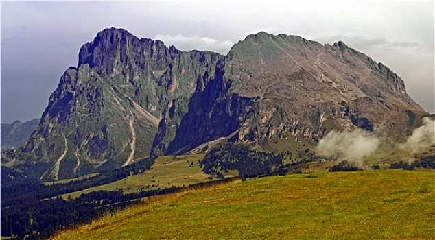 soi cau lô bạch thủ