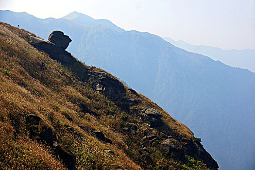 tra cứu xổ số