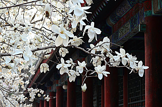 xsmn thu 6 hang tuan